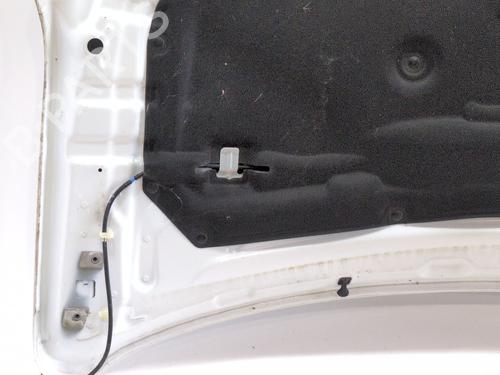 Capot RENAULT AUSTRAL TCe 140 (HGMF) | BP36014441C1  - Image 12