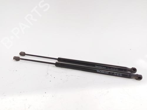 Used Tailgate lift support RENAULT SCÉNIC II (JM0/1_) 1.5 dCi (JM0F) (82 hp) 17820420