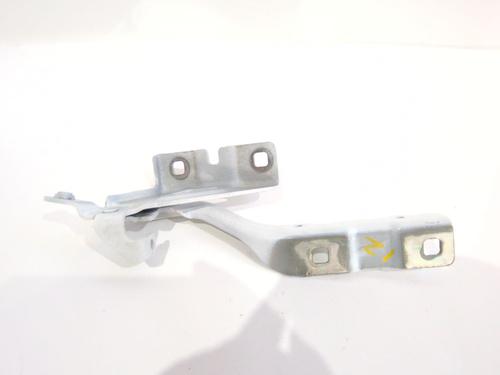 Charnière/Limiteur de porte DACIA DUSTER (PYM_, PYN_) 1.2 TCe 130 (131 hp) 30702167