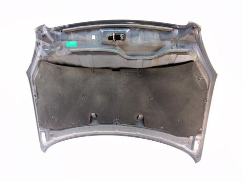 Hood NISSAN QASHQAI I (J10, NJ10)  | BP29192076C1 