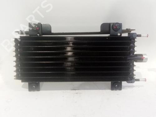 oil-radiator-renault-rafale-coupe-dgm_-2023-38065417 main image