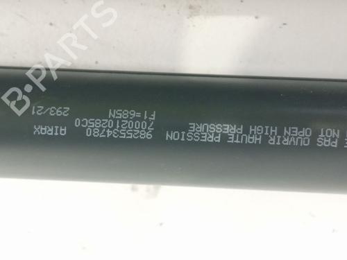 Tailgate lift support PEUGEOT 2008 II (UD_, US_, UY_, UJ_, UR_, UC_) 1.5 BlueHDI 110 (UDYHSK) | BP17816497C138