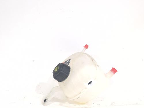 Used Expansion tank RENAULT RAFALE Coupe (DGM_) 1.2 E-TECH 200 Hybrid (DGM2) (200 hp) 31010550
