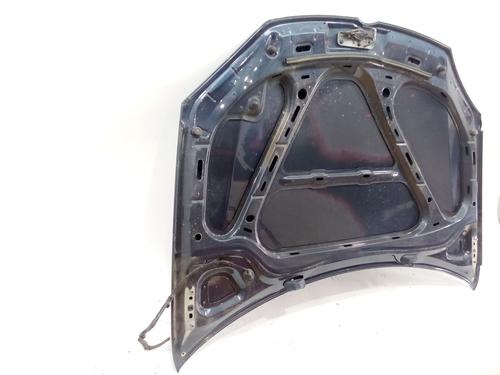 Hood VW GOLF V (1K1) 1.6 | BP20641610C1 