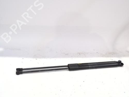 Hood lift support LEXUS NX (_Z1_) 300h AWD (AYZ15, AYZ15_, AYZ15R) | BP24509272C139