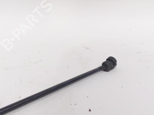 Hood lift support AUDI A6 C6 Avant (4F5)  | BP19482834C139 