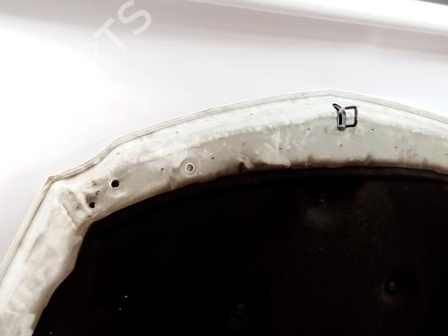 Hood OPEL INSIGNIA A Saloon (G09) 2.0 CDTI (69) | BP19324378C1