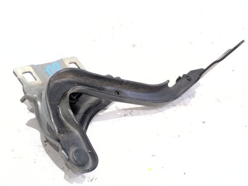 hingedoor-check-strap-renault-megane-iv-hatchback-b9amn_-2015-33841239 main image