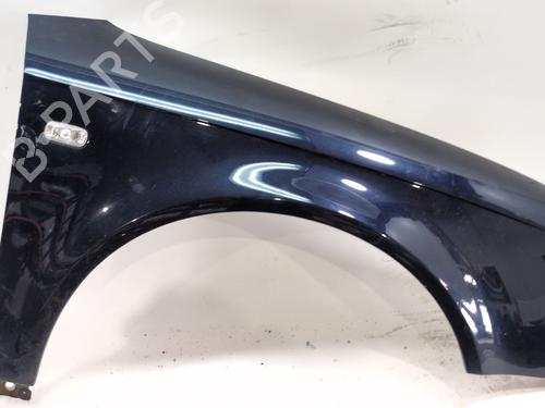 Used Right front fenders AUDI A4 B7 (8EC) 2.5 TDI (163 hp) 30157633