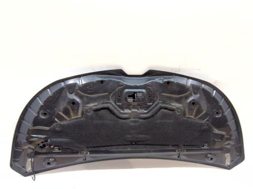 Hood RENAULT TRAFIC III Bus (JG_)  | BP31996871C1 