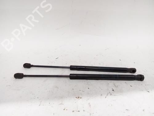 Used Tailgate lift support RENAULT MEGANE II (BM0/1_, CM0/1_) 1.4 16V (BM0B, CM0B) (98 hp) 17819556