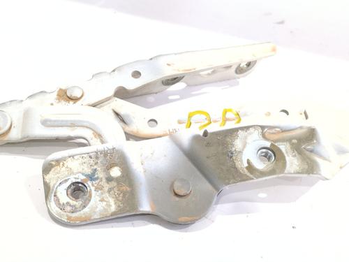 Used Hinge/Door check strap FORD ECOSPORT 1.5 EcoBlue TDCi (95 hp) 27355187