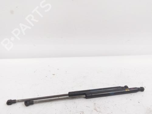 Hood lift support LAND ROVER DISCOVERY IV (L319) 3.0 TD 4x4 | BP18527778C139 