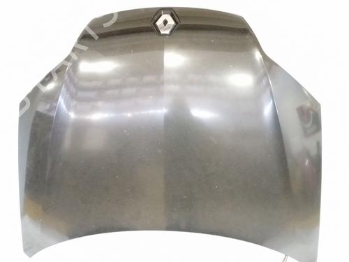 Used Hood RENAULT LAGUNA III (BT0/1) 2.0 dCi (BT07, BT0J, BT14, BT1A, BT1S) (131 hp) 24367543