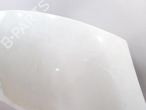 Hood RENAULT SCÉNIC III (JZ0/1_) 1.5 dCi | BP24916483C1