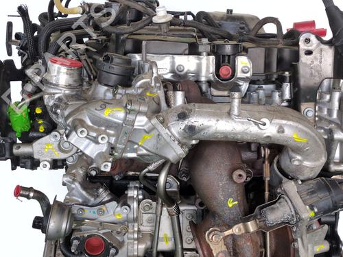 Engine RENAULT MASTER III Van (FV) | BP32228487M1 - Image 8