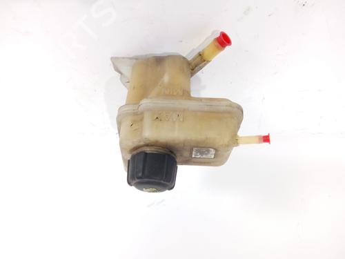Used Expansion tank NISSAN QASHQAI / QASHQAI +2 I (J10, NJ10, JJ10E) 2.0 (141 hp) 17818837