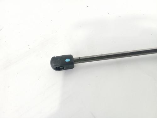 Hood lift support BMW 3 (F30, F80)  | BP17817491C139 