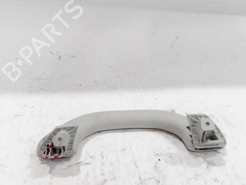 Interior roof handle VW GOLF V (1K1) 1.6 | BP20317042I35 