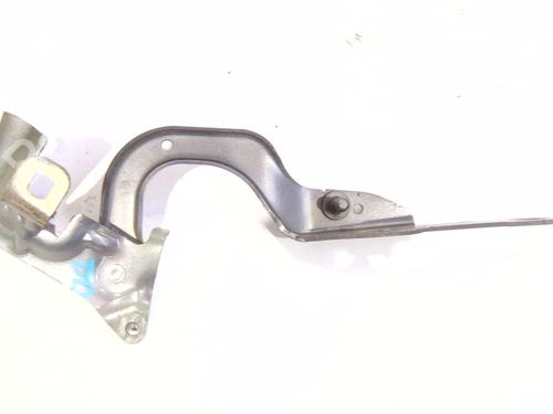 Hinge/Door check strap RENAULT CAPTUR I (J5_, H5_) 0.9 TCe 90 | BP30158136C146
