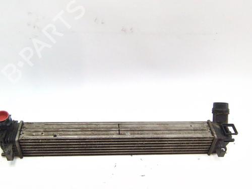 Used Intercooler RENAULT SCÉNIC III (JZ0/1_) 1.5 dCi (110 hp) 25005797