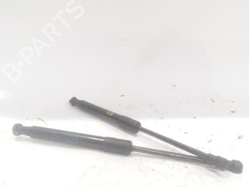 Used Hood lift support AUDI Q5 (8RB) 2.0 TDI quattro (170 hp) 24104853