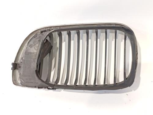 Grille BMW 3 (E46)  | BP17913331C40 