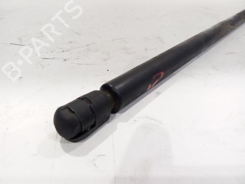 Hood lift support AUDI A6 C6 Avant (4F5)  | BP19482834C139 