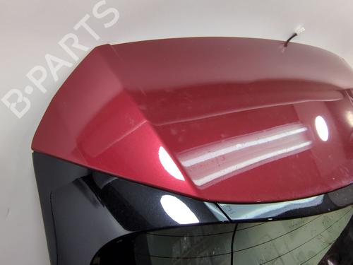 Tailgate LEXUS NX (_Z1_) 300h AWD (AYZ15, AYZ15_, AYZ15R) | BP24916455C6