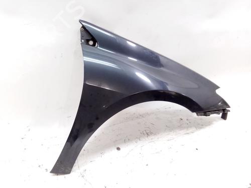 Right front fenders RENAULT LAGUNA III (BT0/1) 2.0 16V Turbo | BP17819811C42 
