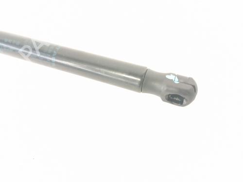 Hood lift support BMW 3 (F30, F80)  | BP17817491C139 