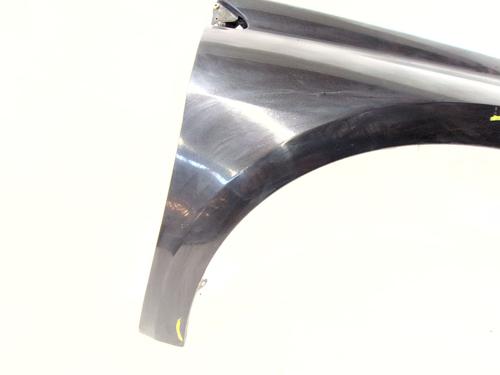 Right front fenders RENAULT LAGUNA III (BT0/1) 2.0 dCi (BT07, BT0J, BT14, BT1A, BT1S) | BP30157863C42