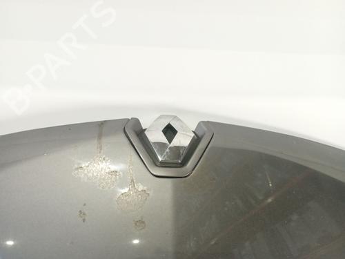 Hood RENAULT MEGANE III Hatchback (BZ0/1_, B3_) 1.5 dCi | BP17815198C1 