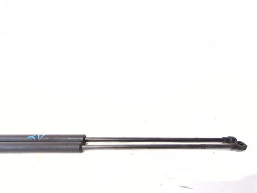 Tailgate lift support FIAT TALENTO Bus (296_)  | BP29734610C138 