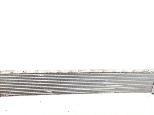 Used Water radiator RENAULT MASTER III Van (FV) [2010-2026]  32182284