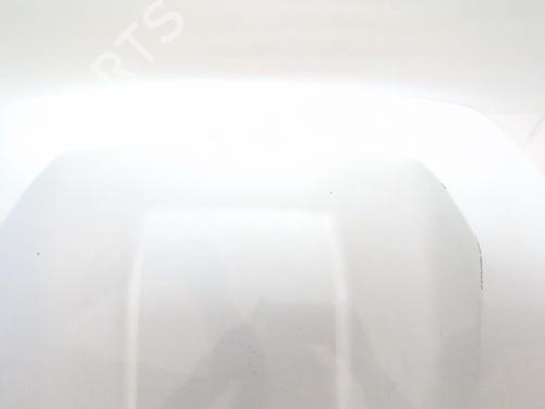 Hood DACIA DUSTER (PYM_, PYN_) 1.2 TCe 130 | BP28022980C1 