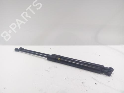 Motorhaubendämpfer für BMW 3 (E90) 318 d (143 hp) 20508930
