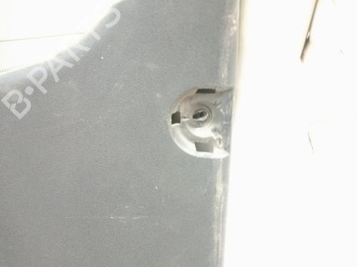 Tailgate CITROËN C3 II (SC_) 1.4 HDi 70 (SC8HZC, SC8HR0, SC8HP4) | BP19485952C6 