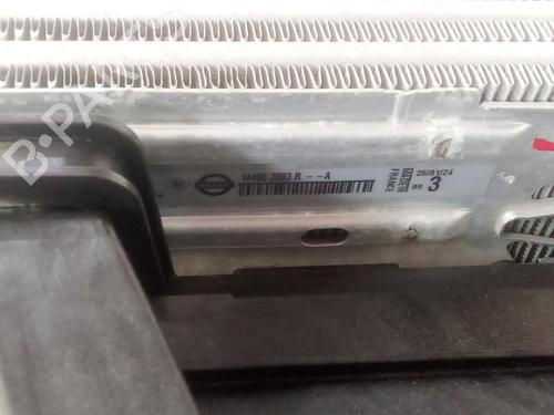 Radiator set RENAULT RAFALE Coupe (DGM_) | BP38286192M120 - Image 9