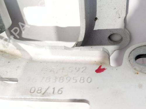 Hinge/Door check strap PEUGEOT 2008 I (CU_) 1.6 BlueHDi 100 | BP27696370C146
