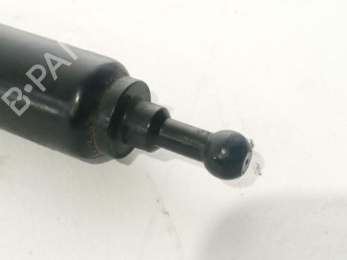 Hood lift support RENAULT MEGANE III Hatchback (BZ0/1_, B3_) 1.2 TCe (BZ2B, BZ11) | BP17819874C139 