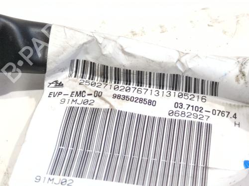 Vacuum pump CITROËN BERLINGO (ER_, EC_) e-Berlingo | BP26587308M80 