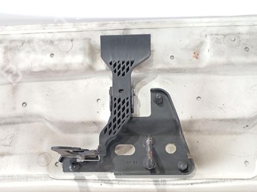 Hood AUDI A4 B7 (8EC) 3.0 TDI quattro | BP19796443C1 
