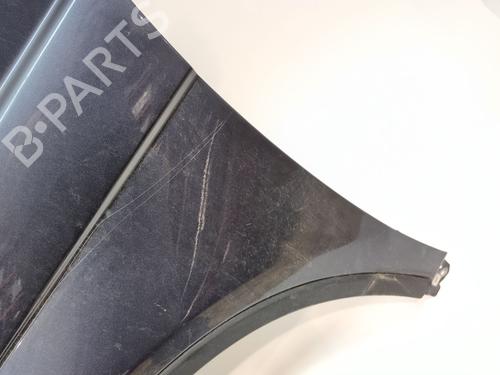 Left front fenders HONDA CR-V III (RE_) 2.2 i-DTEC 4WD (RE6) | BP30157822C41