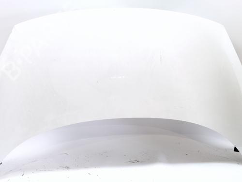 Used Hood RENAULT SCÉNIC III (JZ0/1_) 1.5 dCi (110 hp) 24916483