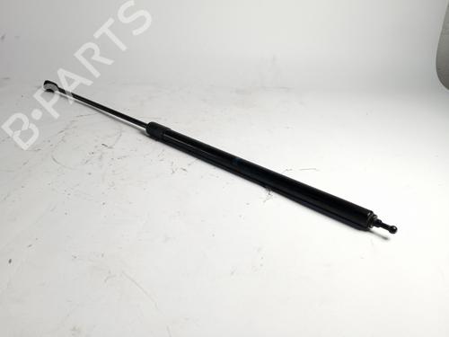 Used Hood lift support RENAULT MEGANE III Hatchback (BZ0/1_, B3_) 1.5 dCi (106 hp) 17816914