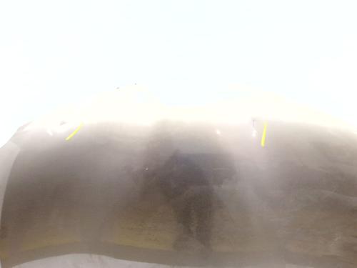 Hood RENAULT KADJAR (HA_, HL_)  | BP29885501C1 