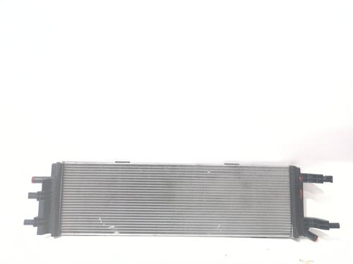 Used Water radiator RENAULT RAFALE Coupe (DGM_) 1.2 E-TECH 200 Hybrid (DGM2) (200 hp) 30967265