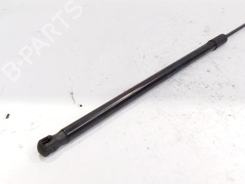 Hood lift support AUDI A4 B8 (8K2)  | BP17822178C139 