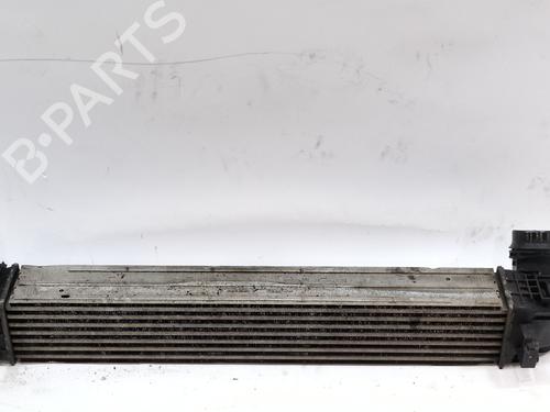 Used Intercooler RENAULT MEGANE III Coupe (DZ0/1_) 1.9 dCi (DZ0N, DZ0J, DZ1J, DZ1K) (131 hp) 25005773